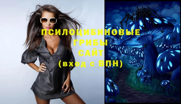 спиды Козельск
