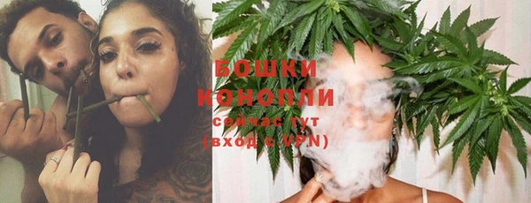 спиды Козельск