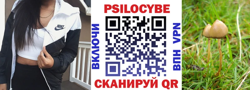 Псилоцибиновые грибы мицелий  блэк спрут ссылка  Нефтекамск  где можно купить  