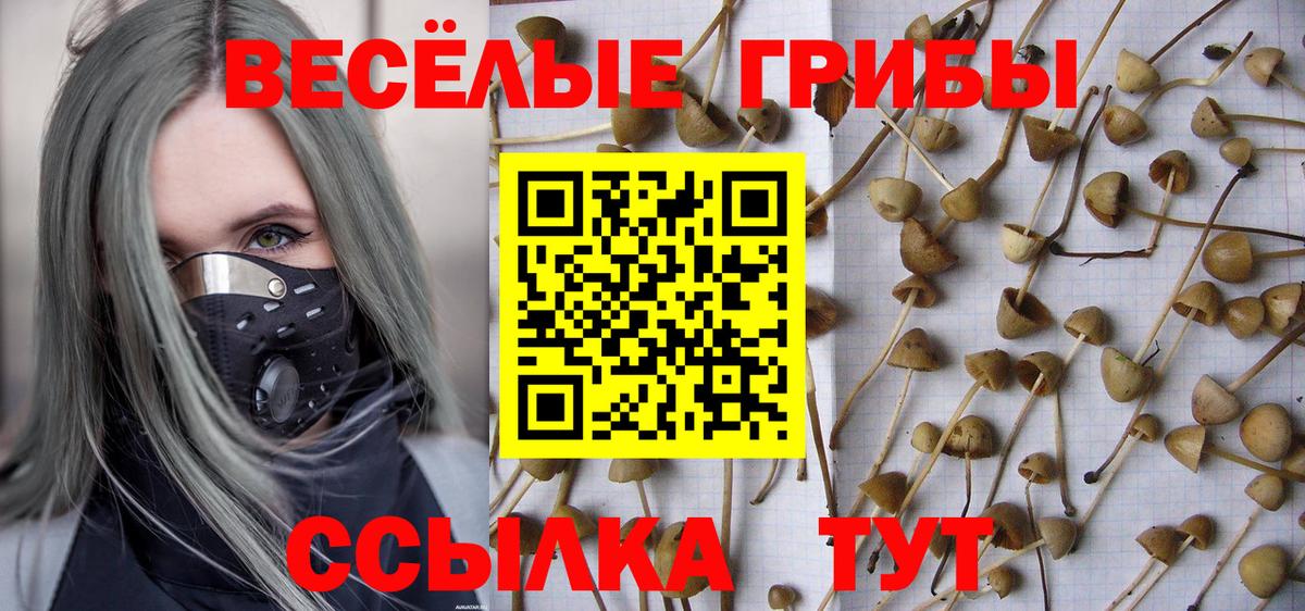 Галлюциногенные грибы Cubensis Нефтекамск
