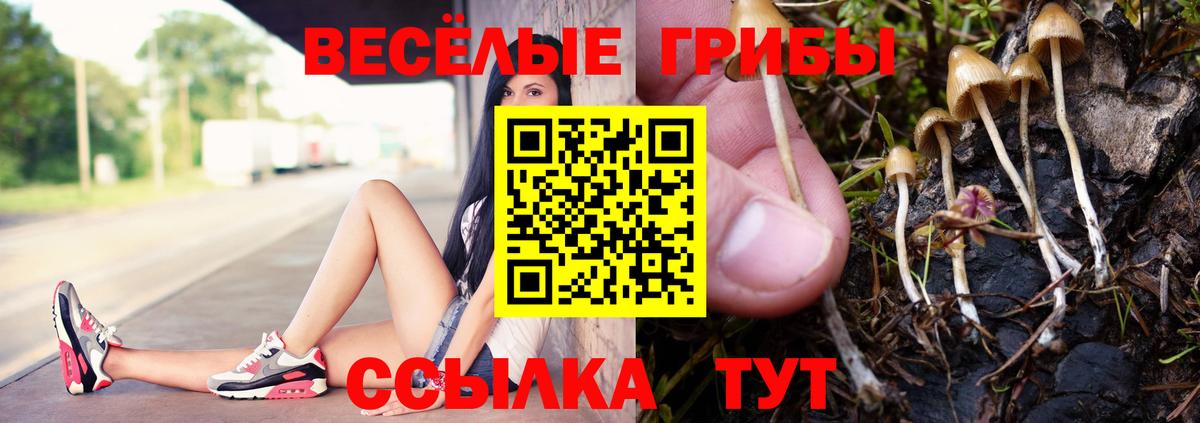 Галлюциногенные грибы MAGIC MUSHROOMS  Вход с VPN  Нефтекамск 