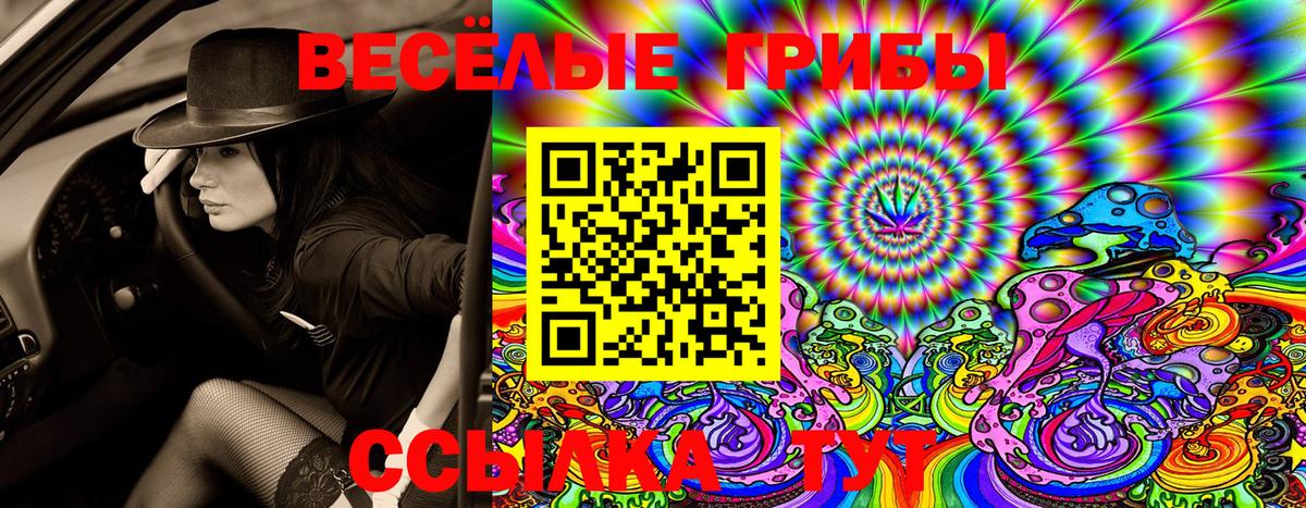 Галлюциногенные грибы GOLDEN TEACHER  Нефтекамск  Псилоцибиновые грибы GOLDEN TEACHER 